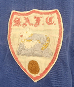 stirling albion crest 1956